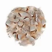 Материал для вязания мушек Wapsi Fly Wapsi Chukar Feathers Loose Natural