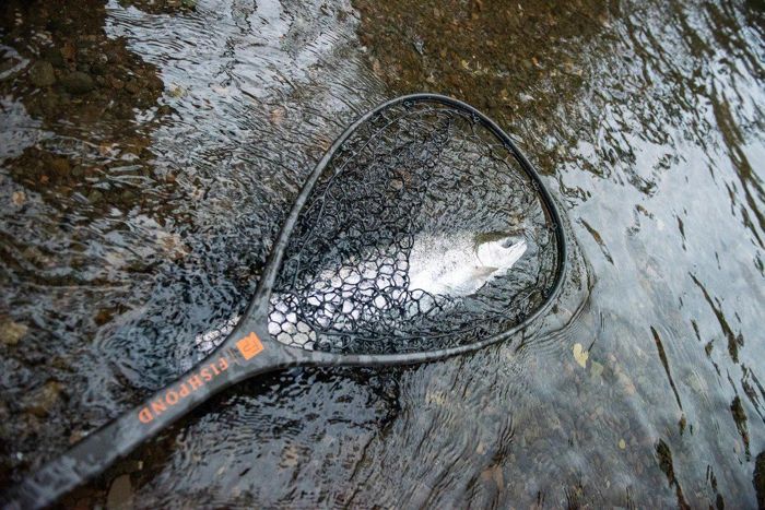 Подсачек Fishpond Nomad Mid-Length Boat Net - Wild Run Edition