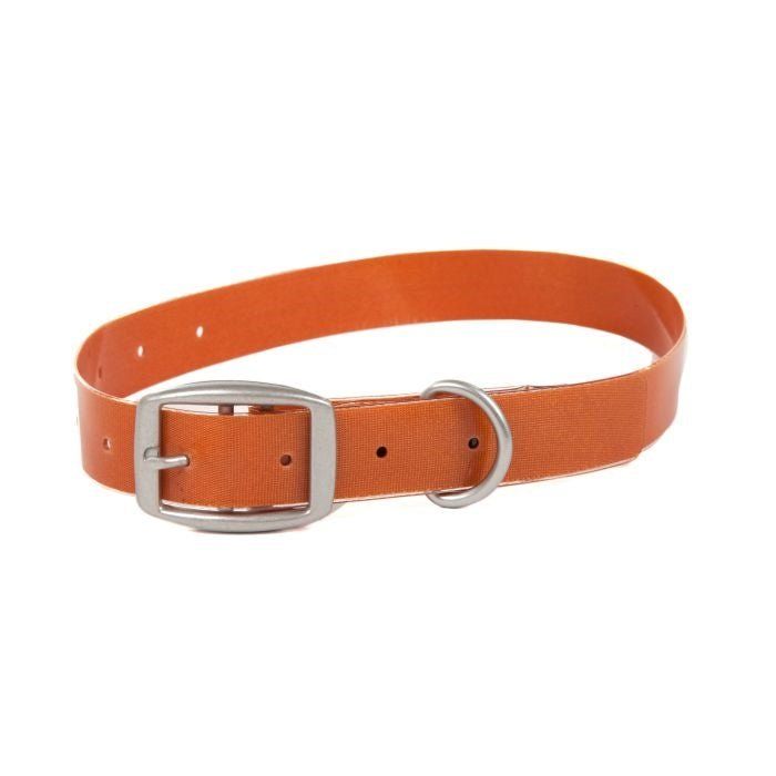 Снаряжение для собаки Fishpond Salty Dog Collar - Cutthroat Orange