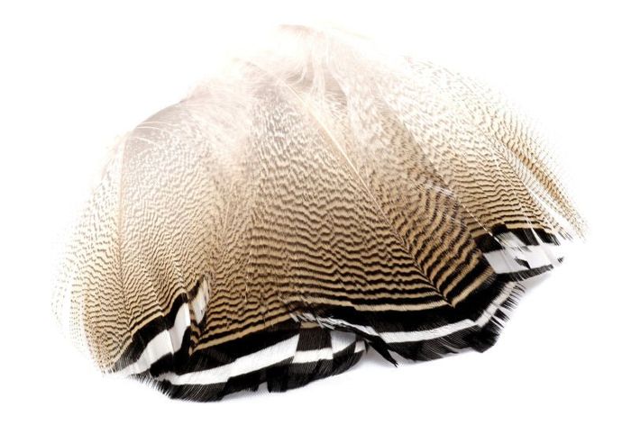 Материал для вязания мушек Hareline Woodduck Feathers Black Barred