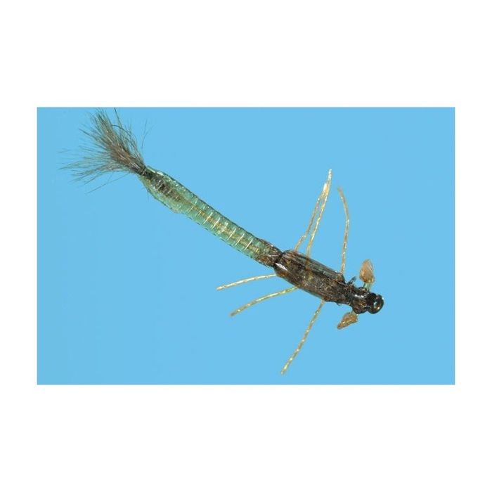 Мушки Solitude Ultra Damsel Nymph - Olive