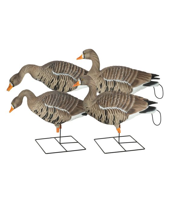 Чучело GHG Pro-Grade XD Full Body Specklebelly Decoys 4-Pack