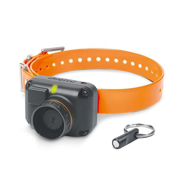Снаряжение для собаки Dogtra STB HAWK COLLAR