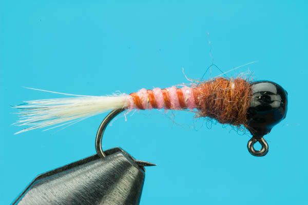 Кулер, термос или бутылка Big Y Fly Co. Pink Jug - Tungsten