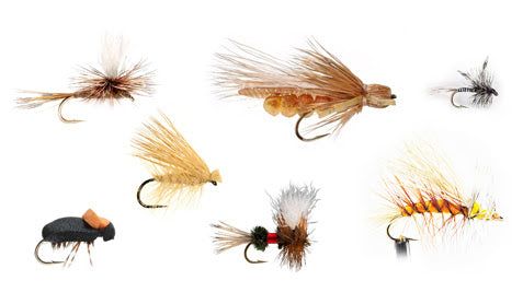 Мушки Ascent Fly Fishing Mixed Dozen Dry Fly Selection