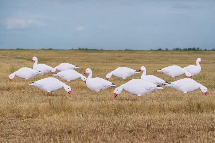 Чучело GHG Pro-Grade Silhouette Snow Goose Decoys