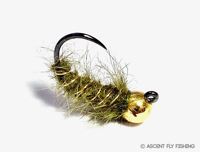 Зимняя приманка Ascent Fly Fishing Tungsten Jigged Walt's Worm