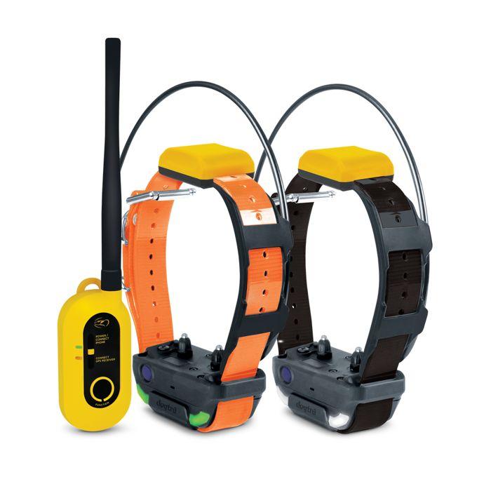 GPS-ошейник для собаки Dogtra.com PATHFINDER2 GPS COLLAR BUNDLE (BLACK)