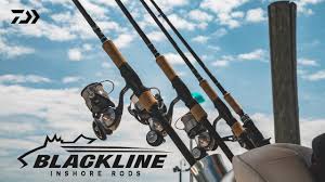 Морское удилище Daiwa Blackline Inshore Rods