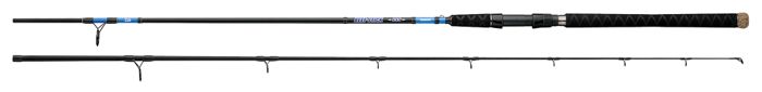 DAIWA BEEFSTICK Salmon Steelhead Striper удилища