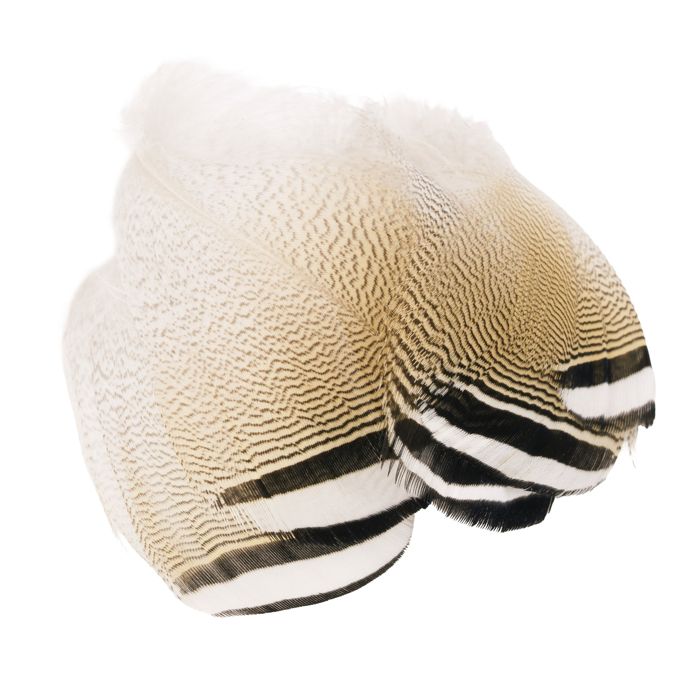 Материал для вязания мушек Wapsi Wood Duck Black & White Flank Feathers