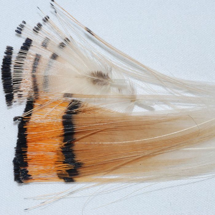 Поводковый материал Wapsi Fly Golden Pheasant Tippets