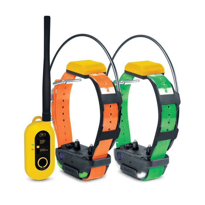 GPS-ошейник для собаки Dogtra.com PATHFINDER2 GPS COLLAR BUNDLE (GREEN)