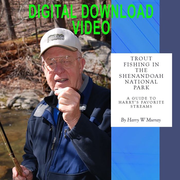 Мушки Murray's Fly Shop Fly Fishing Shenandoah National Park Streams Video | Murray’s Fly