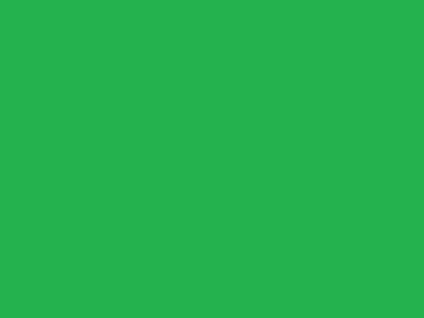 Мушки Fly and Field Outfitters - Online Flyfishing Shop Green - Standard dries, nymphs
