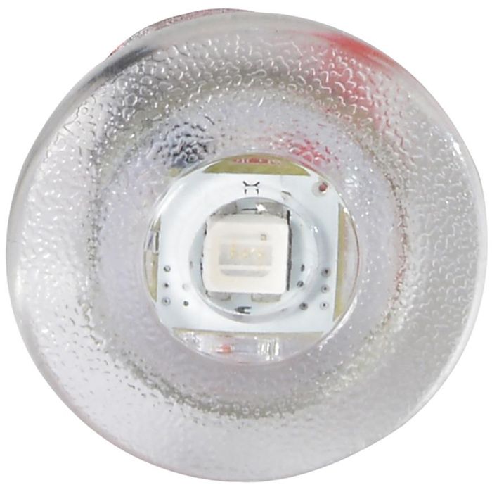 Термобокс LUMITEC Newt Livewell & Courtesy Light - Red Dimming