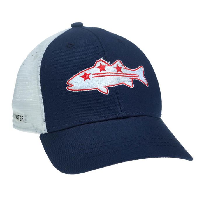 Головной убор RepYourWater District of Columbia Hat