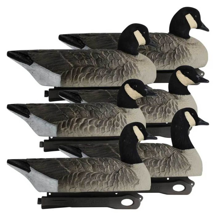 Чучело Hardcore Rugged Series Canada Goose Decoys - 6 Pack